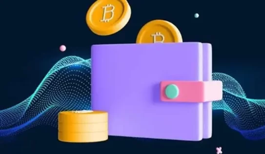 加密货币交易平台安全性评估,投资者不可忽视的要素